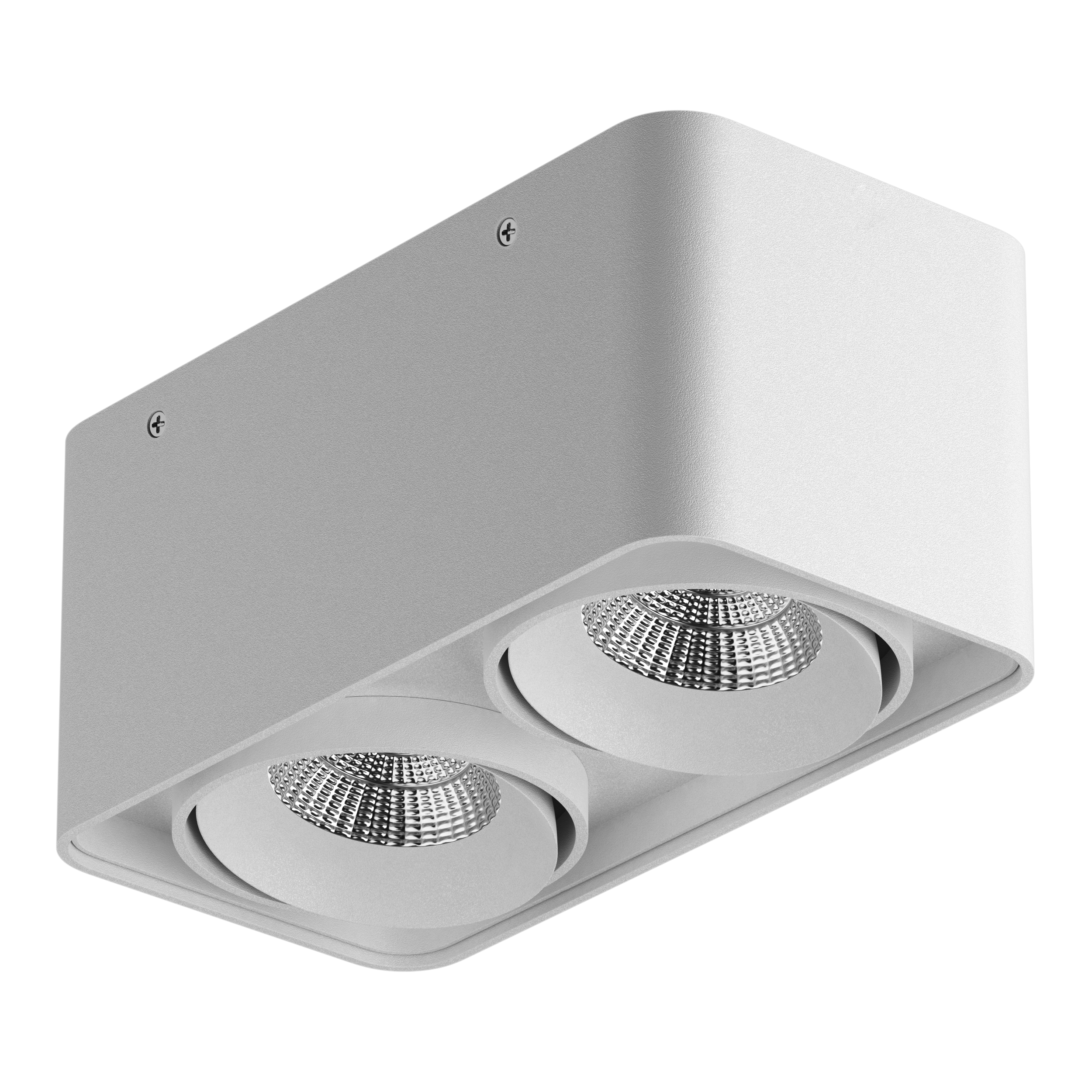 IP65 Светильник MONOCCO LED 2х10W 1200LM 30G БЕЛЫЙ 4000K