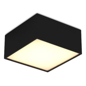 Светильник потолочный Черный LED 1*12W 3000K 1 080Lm Ra>90 120° IP20 L120xW120xH55 180-