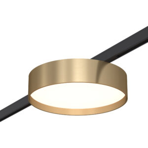 Магнитный трековый светильник Латунь LED 1*12W 4000K 500Lm Ra>80 100° IP20 D113xH34 24V