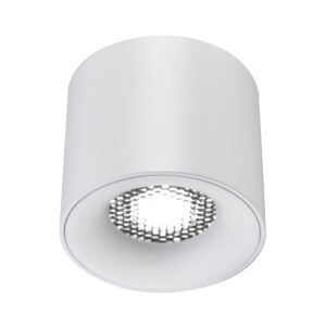 Светильник потолочный белый LED 1*10W 4000K 530Lm Ra 36° IP20 D80xH70 170-240VV