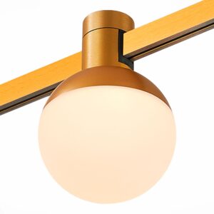 Магнитный трековый светильник FARM Золотистый LED 1*5W 4000K 89Lm Ra90 120 IP20 D75xH1