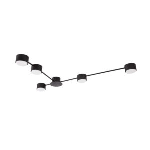 Потолочная Люстры Arte Lamp TRACY A1527PL-5BK