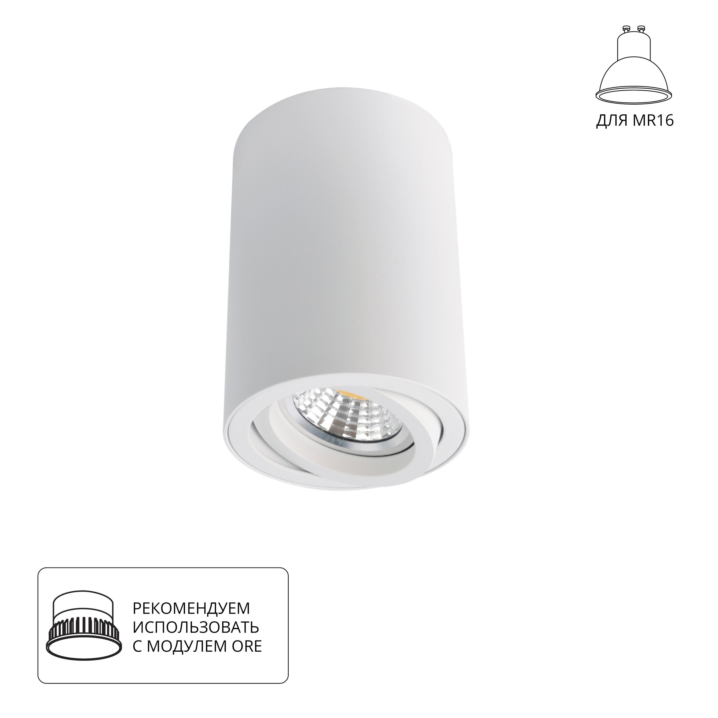 Точечный накладной светильник Arte Lamp SENTRY A1560PL-1WH