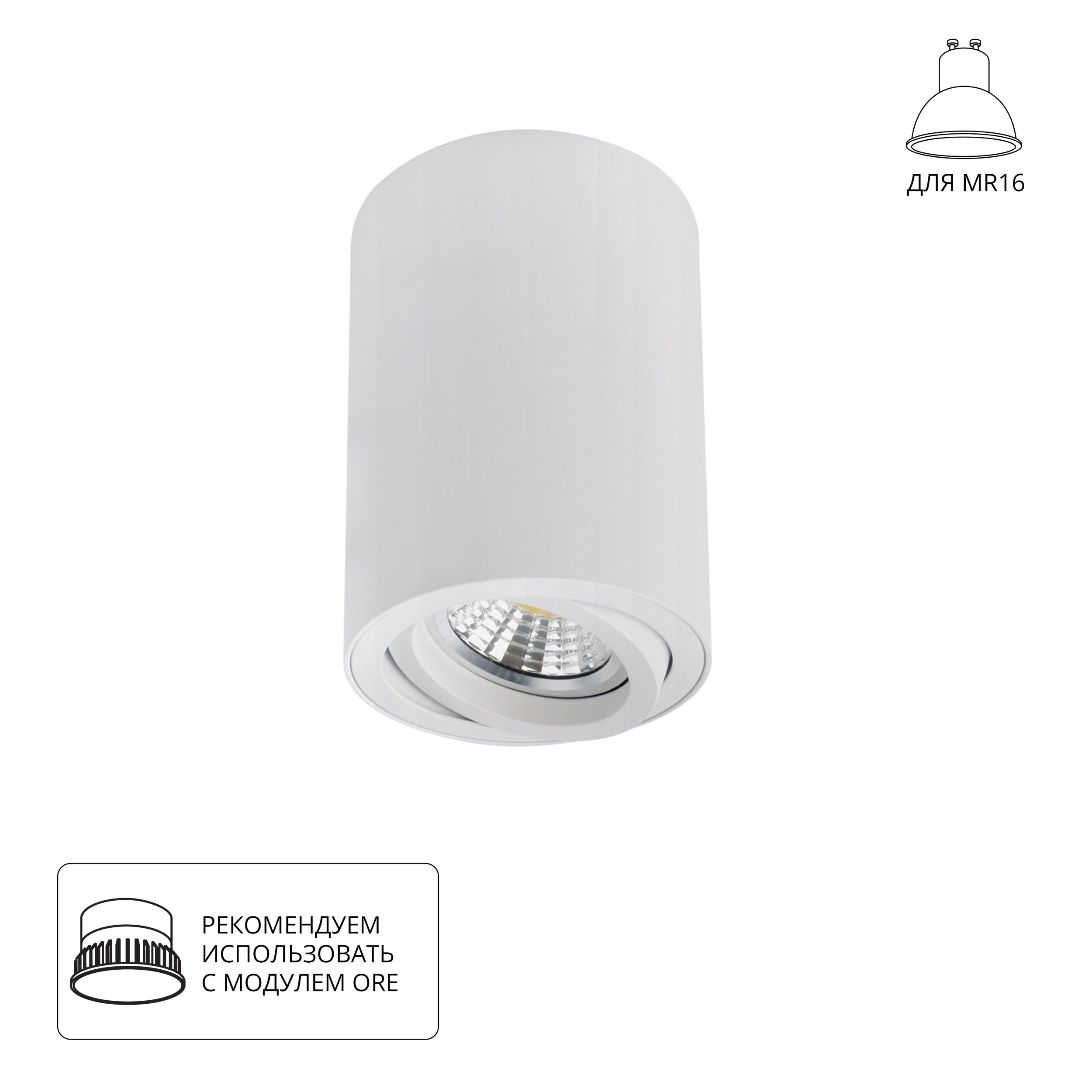 Точечный накладной светильник Arte Lamp SENTRY A1566PL-1WH