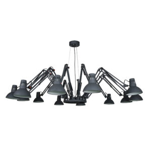 Подвесная Люстры Arte Lamp RAGNO A2043SP-12BK