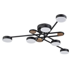 Потолочная Люстры Arte Lamp TAYGETA A2455PL-6BK