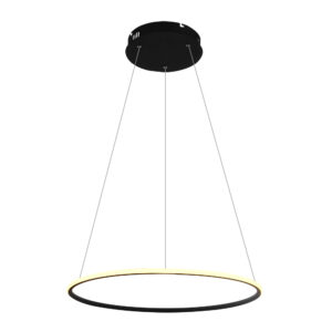 Подвесная Люстры Arte Lamp RAPID A2500SP-1BK