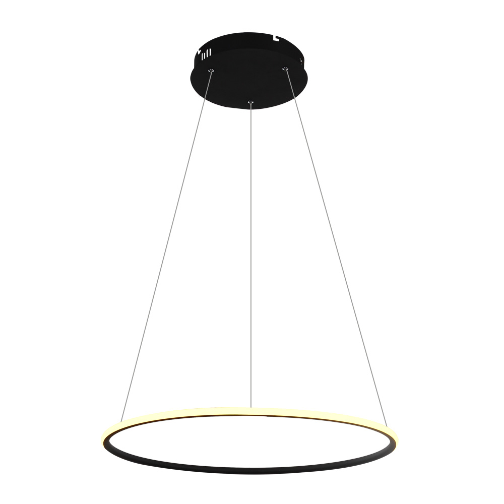 Подвесная Люстры Arte Lamp RAPID A2500SP-1BK
