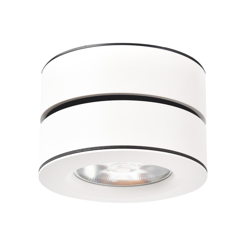 Точечный накладной светильник Arte Lamp VELA A2511PL-1WH