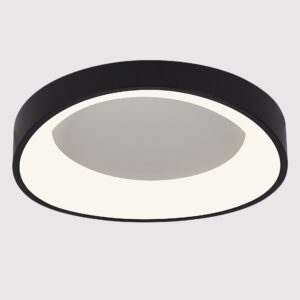 Потолочный светильник Arte Lamp SUALOCIN A2698PL-48BK