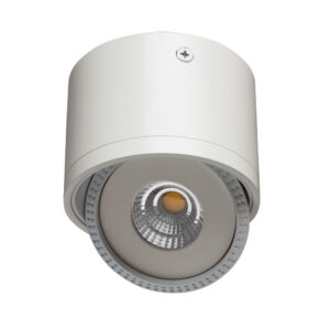 Точечный накладной светильник Arte Lamp STUDIO A4105PL-1WH