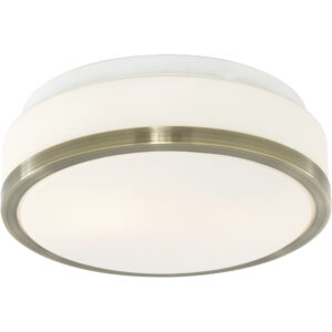 Потолочный светильник Arte Lamp AQUA A4440PL-2AB
