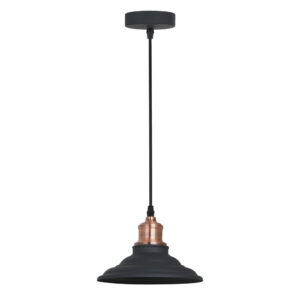 Подвесной светильник Arte Lamp LIDO A5067SP-1BK