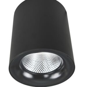 Точечный накладной светильник Arte Lamp FACILE A5130PL-1BK