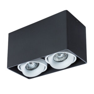 Точечный накладной светильник Arte Lamp PICTOR A5654PL-2BK