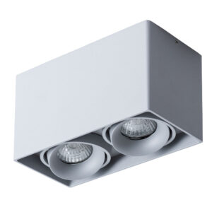 Точечный накладной светильник Arte Lamp PICTOR A5654PL-2GY