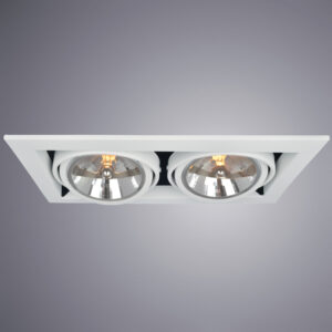 Карданный светильник Arte Lamp CARDANI GRANDE A5935PL-2WH