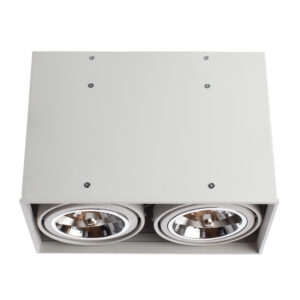Точечный накладной светильник Arte Lamp CARDANI GRANDE A5936PL-2WH