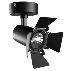 Спот Arte Lamp FALENA A6709AP-1BK