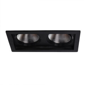 Точечный встраиваемый светильник Arte Lamp PRIVATO A7007PL-2BK
