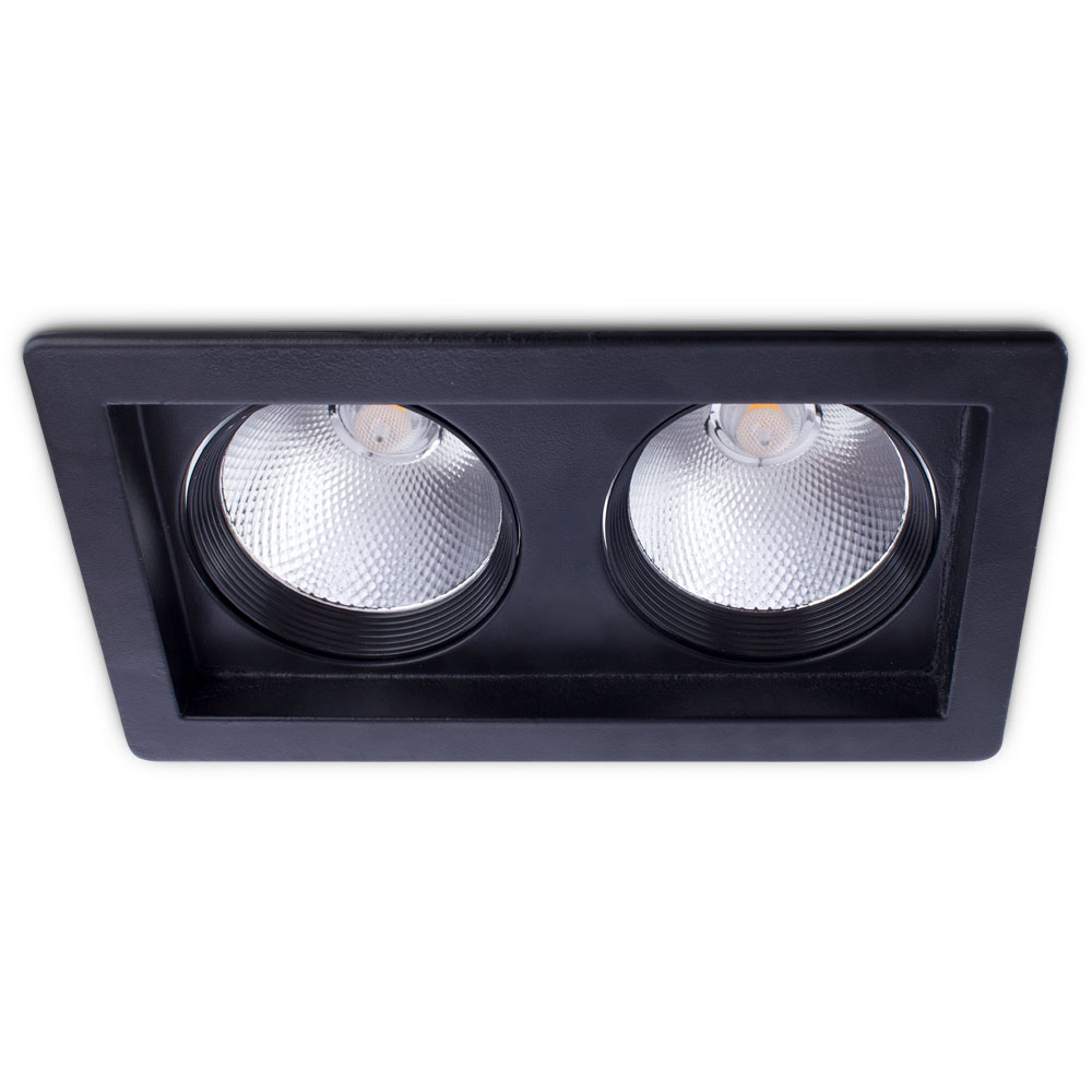 Точечный встраиваемый светильник Arte Lamp PRIVATO A7018PL-2BK