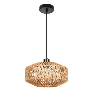 Подвесной светильник Arte Lamp BRUSHWOOD A7087SP-1BK