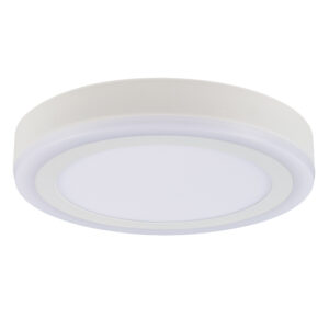 Потолочный светильник Arte Lamp ANTARES A7824PL-2WH